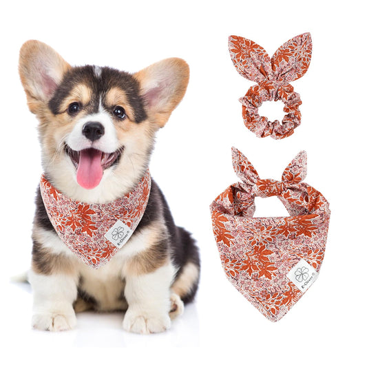 E-Clover Fall Dog Bandana & Matching Scrunchie-Leaves Dog Bandanas Girl Pet Scarf Bib for Small Dogs Puppy Owner Mom Gift Orange Pink