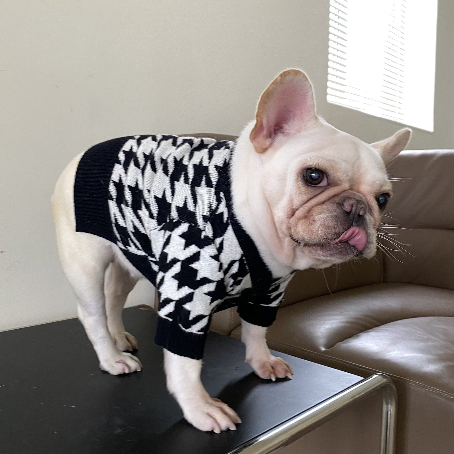 Pet Tide Brand Dog Cat Fall Winter Sweater for Puppies